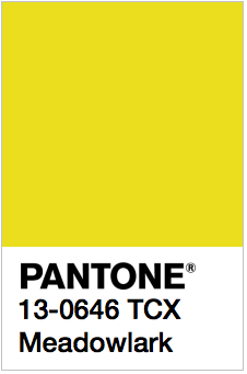 PANTONE 13-0646 Meadowlark