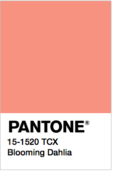 PANTONE 15-1520 Blooming Dahlia