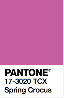 PANTONE 17-3020 Spring Crocus