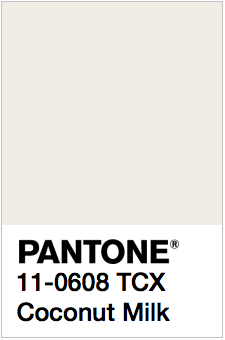 PANTONE 11-0608 Coconut Milk