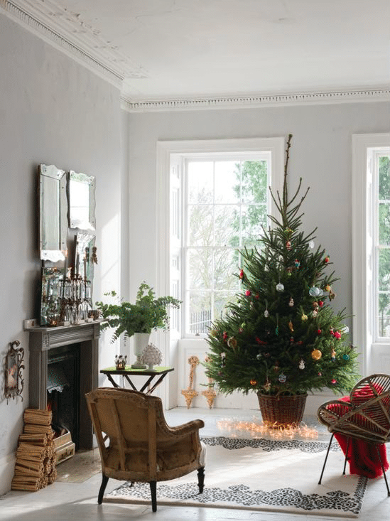 Living Christmas Tree