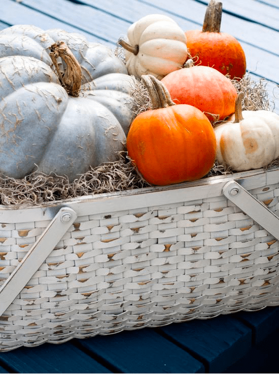 Thanksgiving Pumpkin Basket