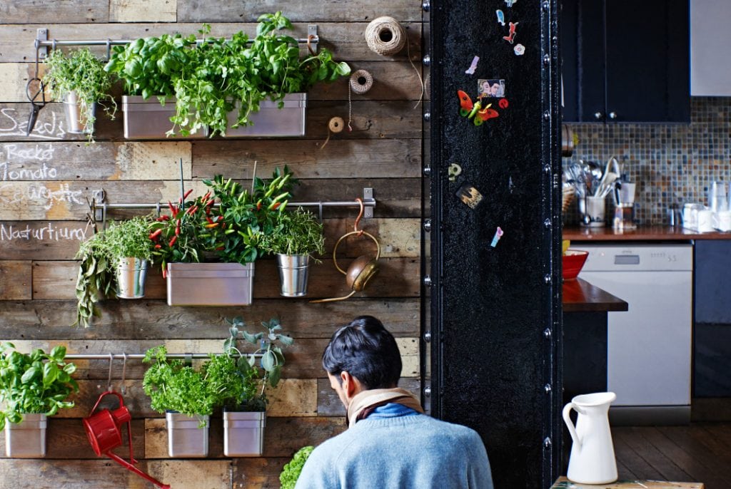 Indoor Garden with Ikea Wall Storage Solutions