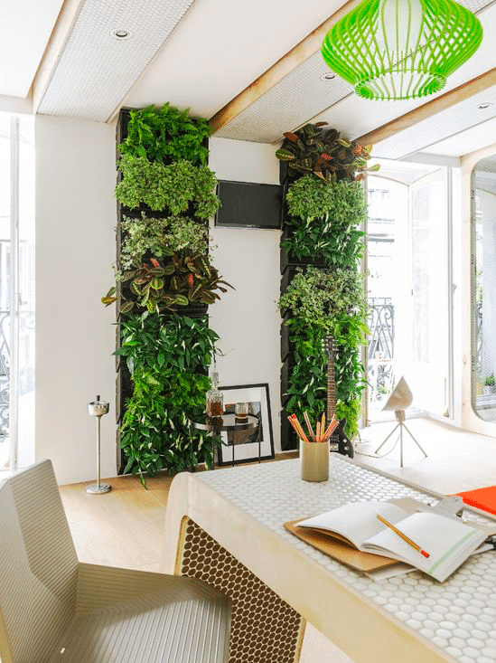 Living Wall in Study Room