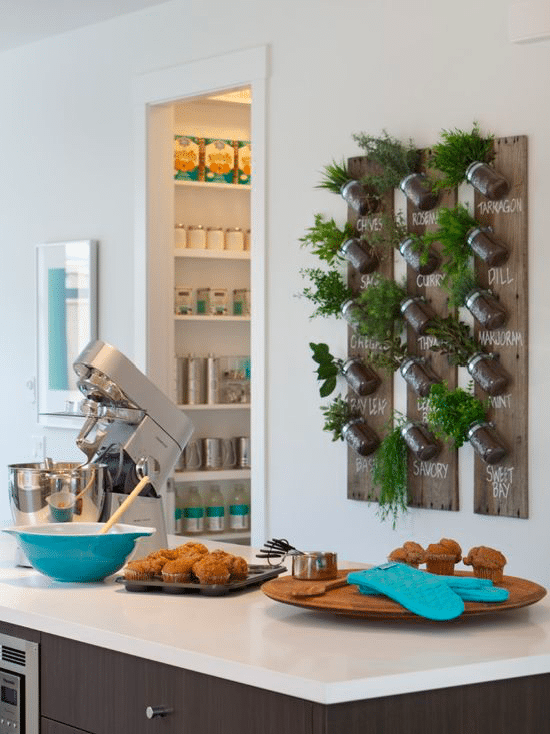 Herb Garden in Mason Jars