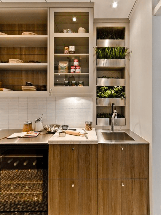 Herb Garden Above the Sink