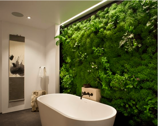 Living Wall in Bathroom