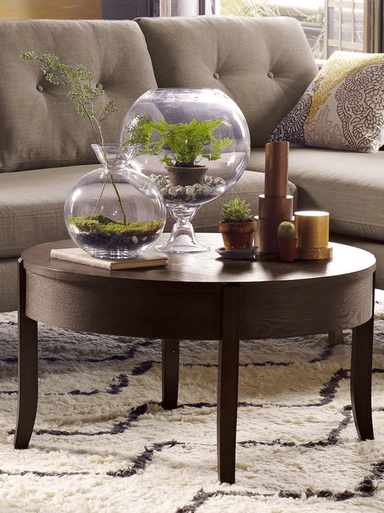 Terrarium in Fishbowl