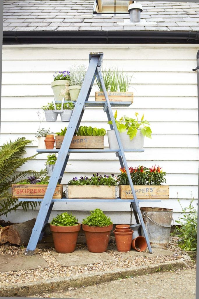 Garden A-Frame Ladder